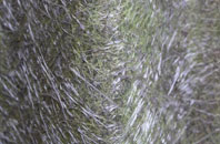 Porthleven fibreglass roof work